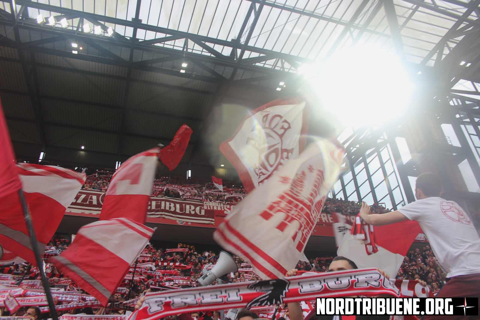 Titelbild 1. FC Köln - SC Freiburg