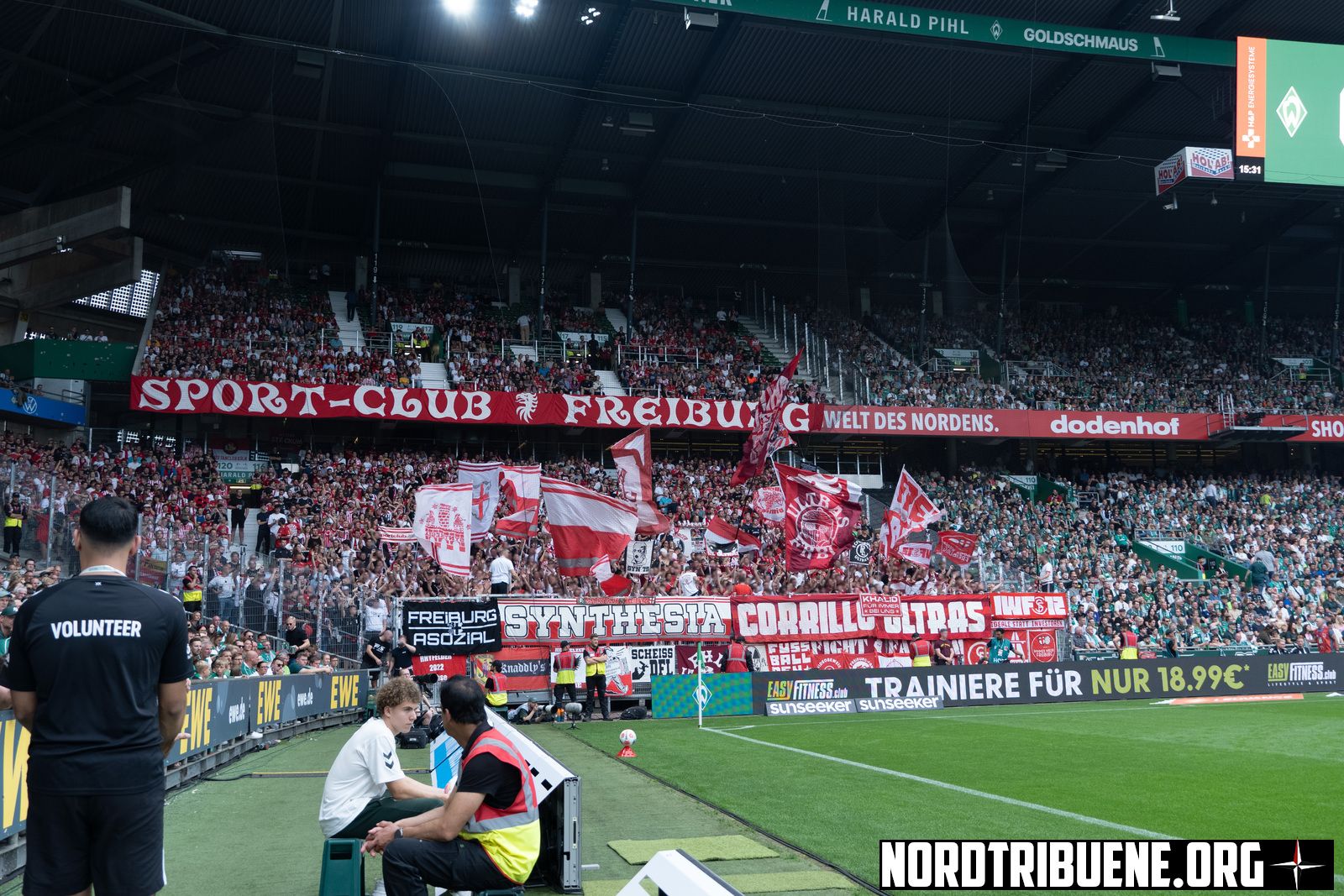 Titelbild Werder Bremen - SC Freiburg